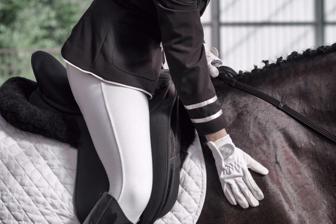 Glove of horseback rider petting show horse