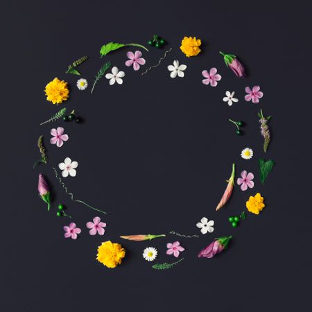 Circle made of various flowers on dark background