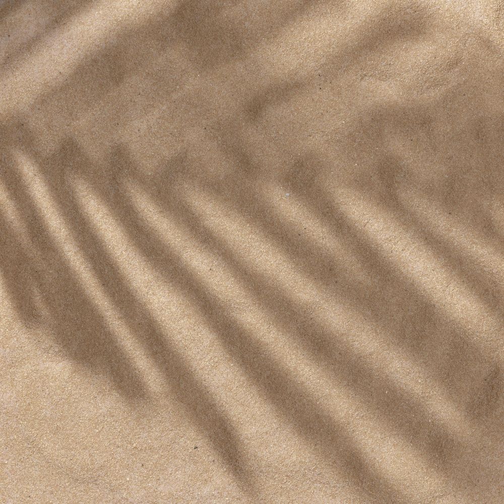 Sand with palm leaf shadows