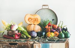 Fresh autumnal produce on kitchen counter, with halved squash and grey tray