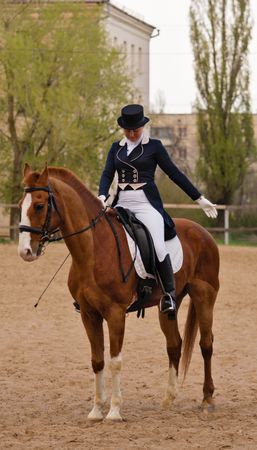Equestrian performing salute on chestnut horse in sandy arena