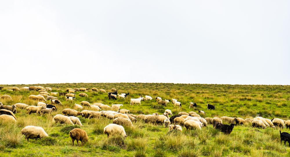 Rural mountain landscape in Georgia