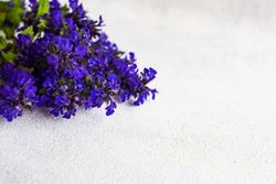 Top of blue flowers on grey counter