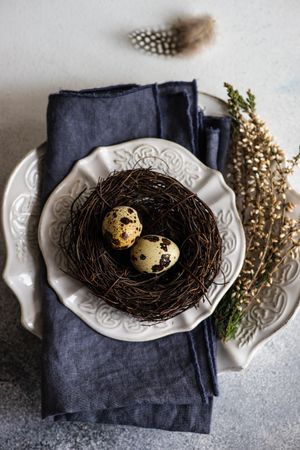 Easter spring card concept with top view of speckled eggs in decorative nest on plate