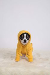 A Chihuahua wearing a yellow hoodie is sitting in front of a light background