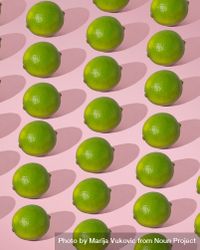 Rows of fresh limes on pink background with shadow 5ol7k4
