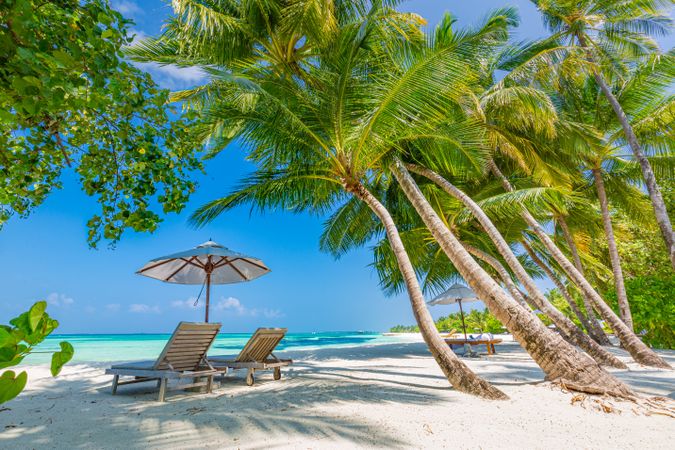 Tropical beach scene with reclining chairs, parasol and palm trees