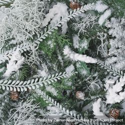 Snowy winter plants and branches 4N2ql4