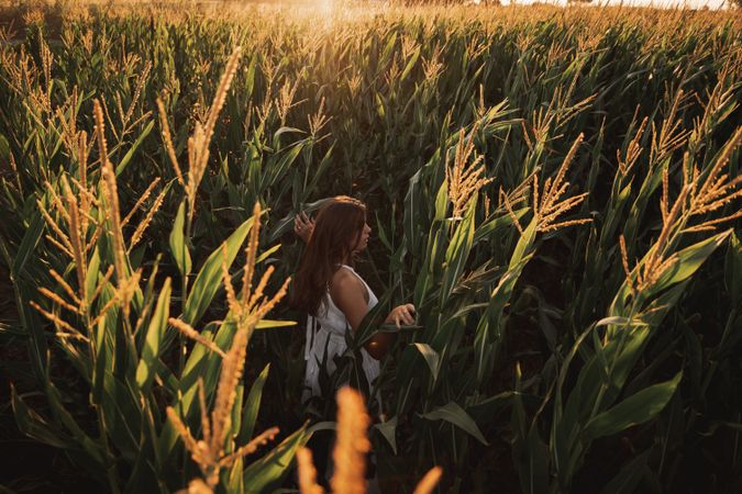 Woman in field ears of wheat on field on sunny day