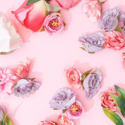 Creative spring background composition colorful flowers on pink background