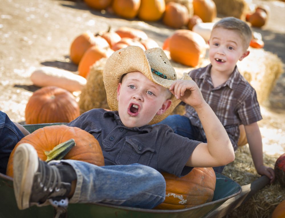 Two Little Boys Playing in Wheelbarrow at the Pumpkin Patch.