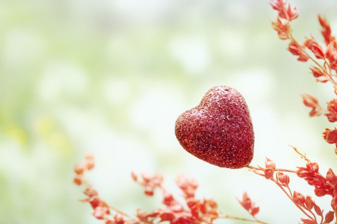 Heart of love