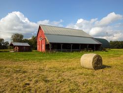 Scene at a hay farm near West Buxton, Maine A49nvb