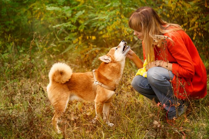 Female in red coat sitting down with her shibu dog in a park