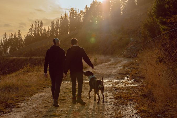 Men holding hands and walking with dog on road