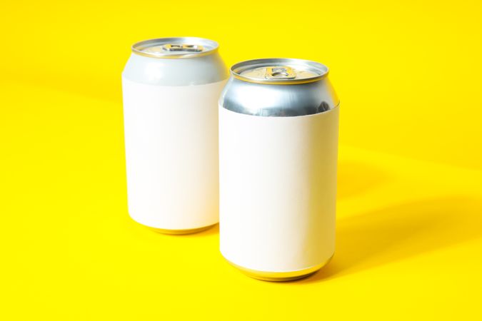 Concept of drink, blank cans with space for label
