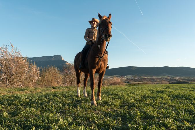 Woman on horse in field