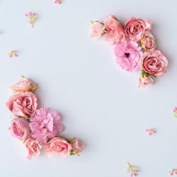 Creative layout made of colorful spring flowers and green leaves