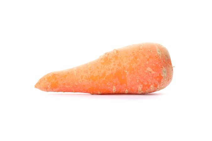 Tasty carrot isolated on plain background