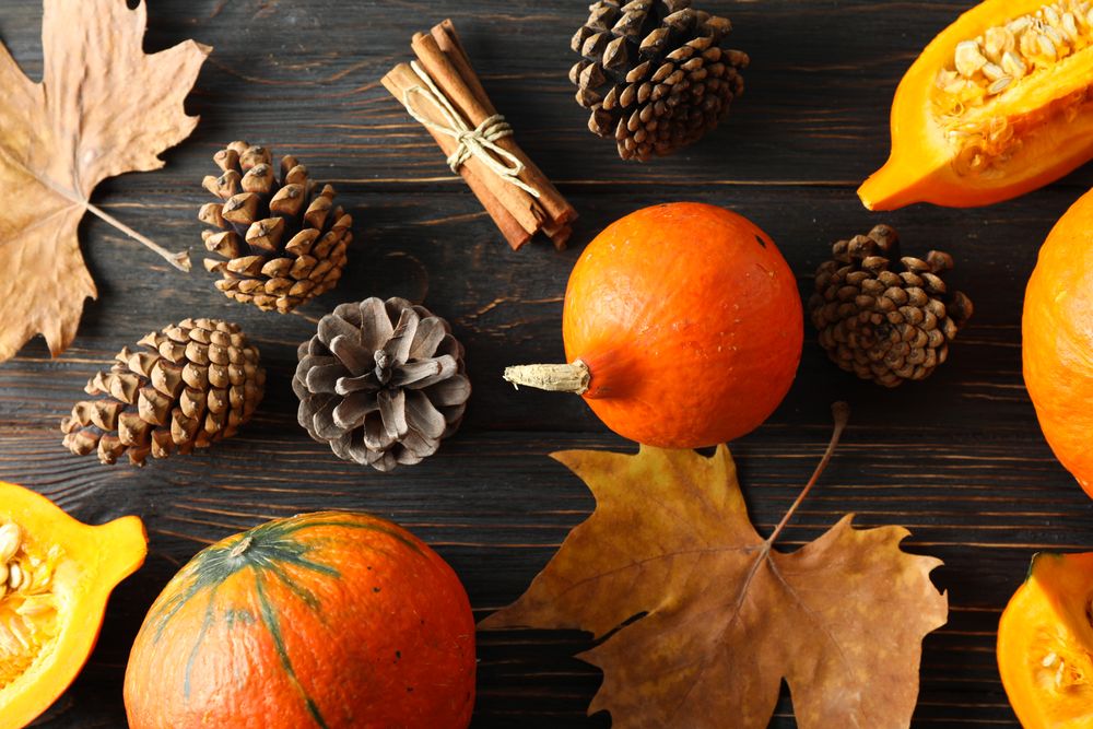 Composition with pumpkins, pine cones and leaves on wooden background, top view