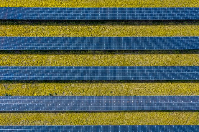 Solar panels in bright light, drone aerial view