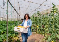 Smiling farmer carrying crate with crop in greenhouse