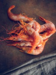 Tasty raw shrimps on table