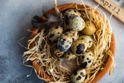 Easter card concept with close up of speckled eggs in bird's nest