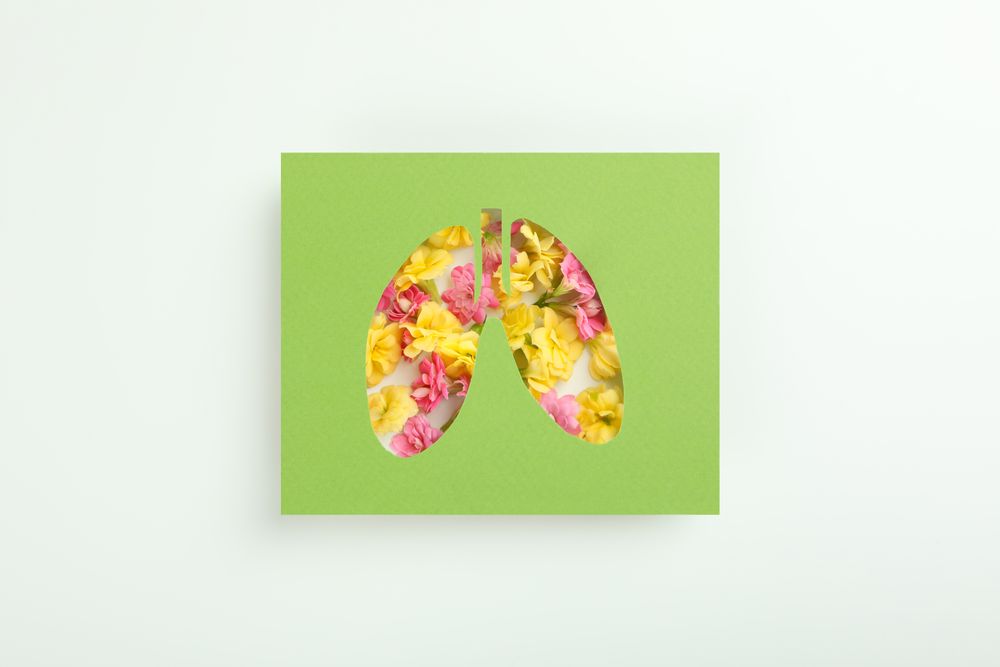 Lung shape cut out of green paper with yellow flowers underneath, pollen concept