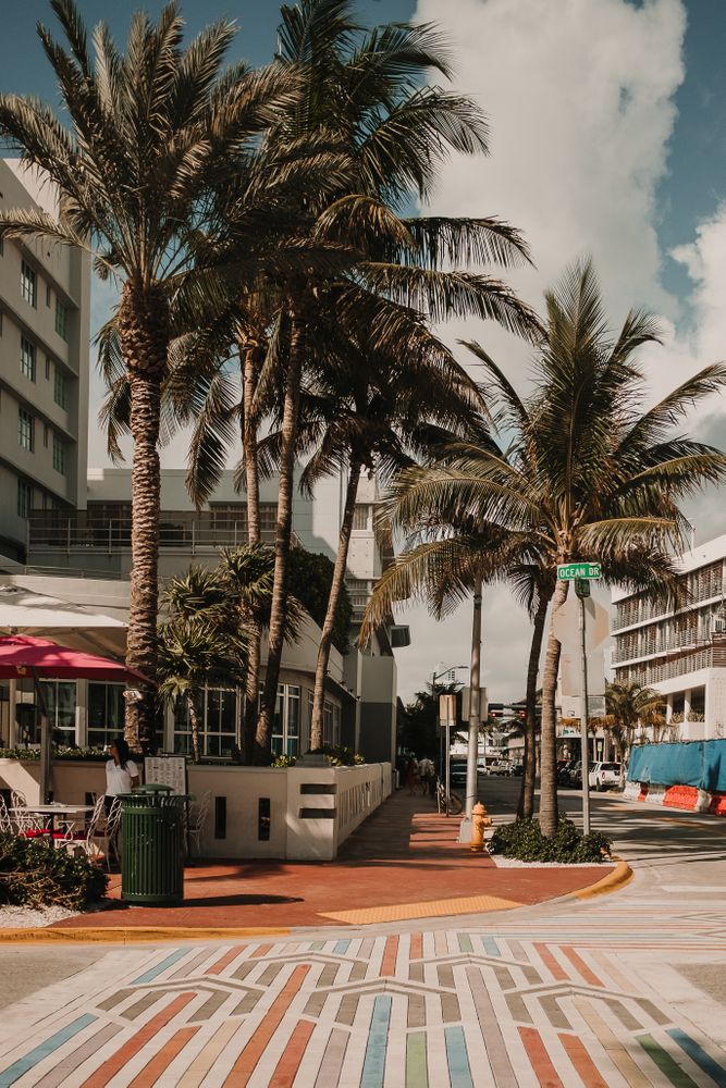 MIAMI, USA - November 13, 2018: View of beautiful city street