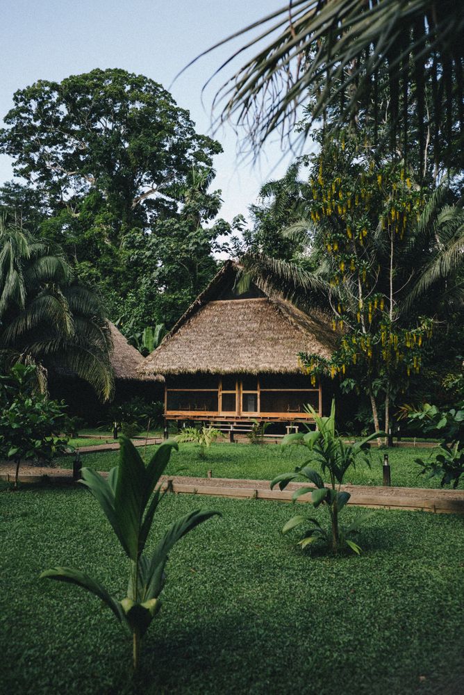 Thatched roof home in Peru