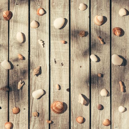 Pattern made of sea shells and rocks on wooden background