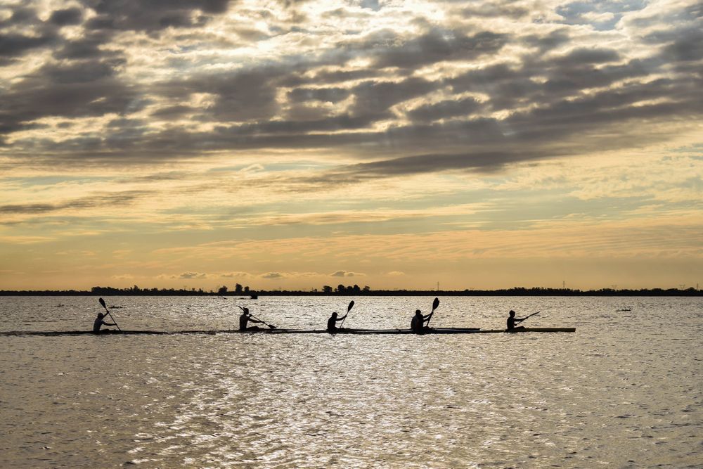 Silhouette of people kayaking in sea during sunset