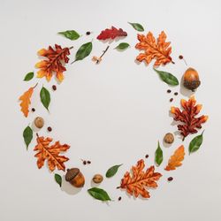 Autumn branches and leaves arranged in festive wreath on light background