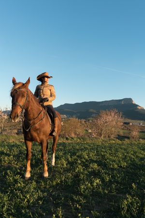 Woman on horse in field