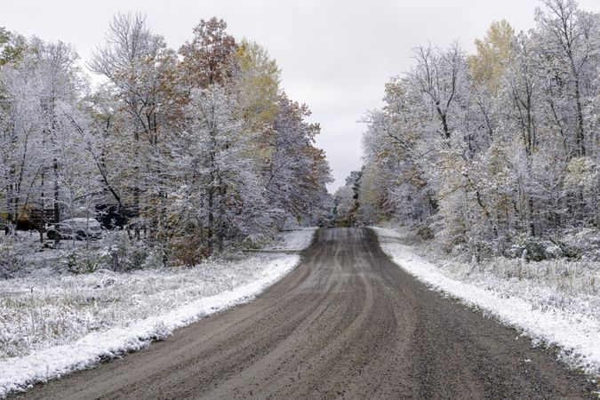 First snow with fall colors on a dirt road in McGregor, Minnesota