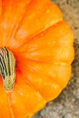 Fresh ripe orange pumpkin on gray surface