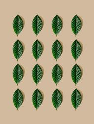 Pattern of green leaves and pastel sand background