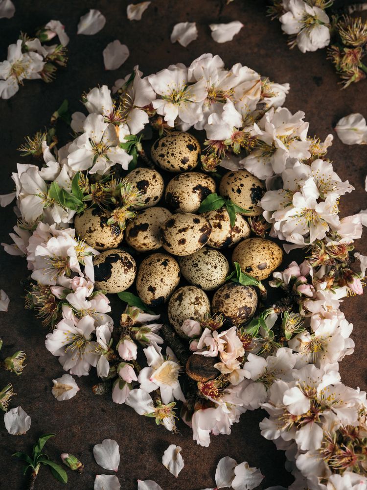Heap of quail eggs with flowers on table