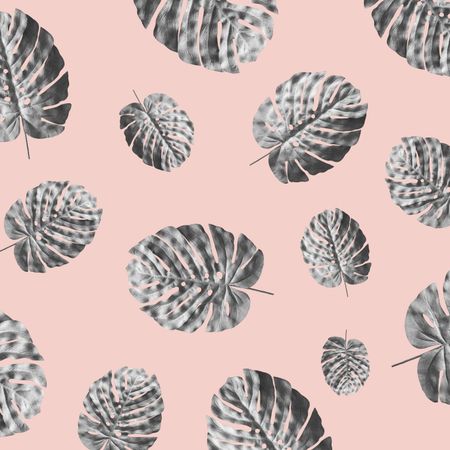 Pattern of monstera leaves on pastel pink background