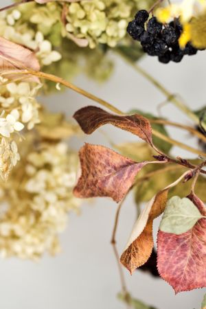 Dried flowers, still life for drawing.