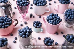 Blueberries in cups, jars and glasses on a pink table 4MPpk5