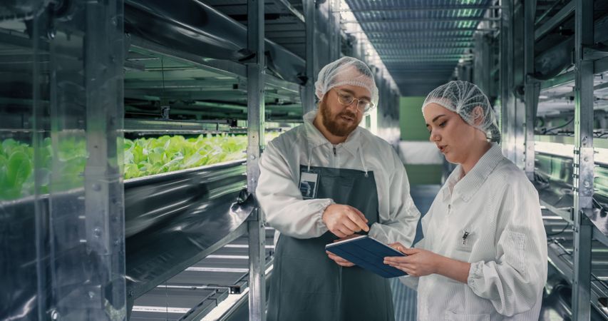 Couple Farming Experts Working at Indoors Vertical Farm. Young Diverse Team of Gardening Specialists in Protective Contamination Uniform and Headwear Talking in a Corridor with Fresh Produce