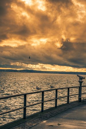 Lake boardwalk with seagulls on metal railing