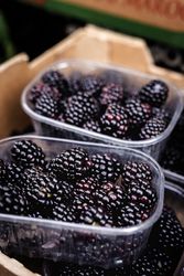 street market of assortment of fresh fruits and vegetables
