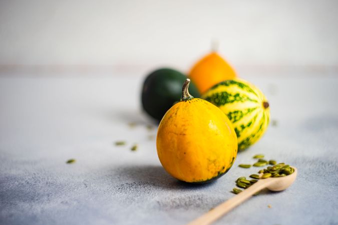 Close up of colorful mini squash on counter with spoons of seeds with copy space