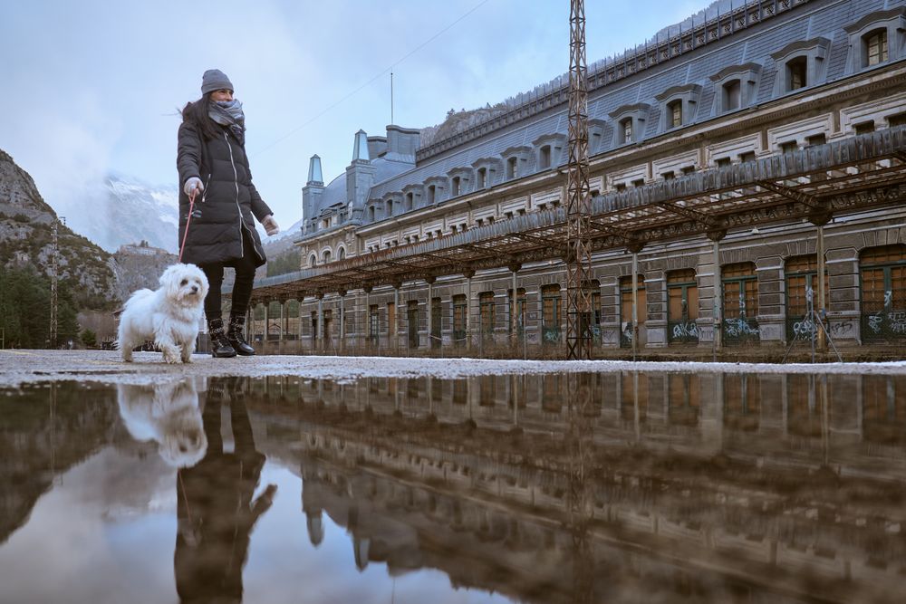 Woman in outerwear walking with dog in city