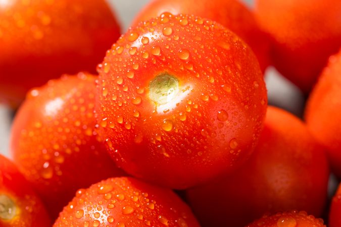 Red Organic Raw Campari Tomatoes