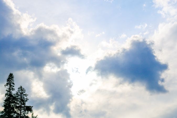 Clouds in the mid day sky with tree outline