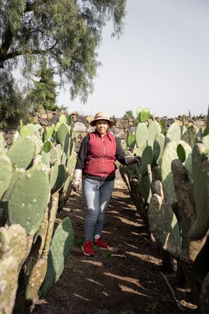 Portrait of an adult woman posing in a nopal field during the harvest